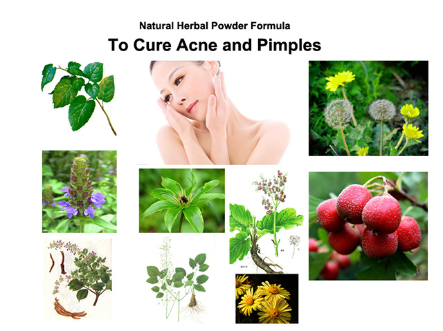 Natural-font-b-Herbal-b-font-Powder-Formula-To-font-b-Cure-b-font-font-b